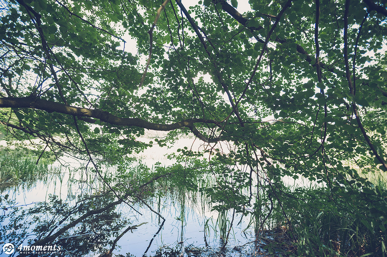 miniatury_506