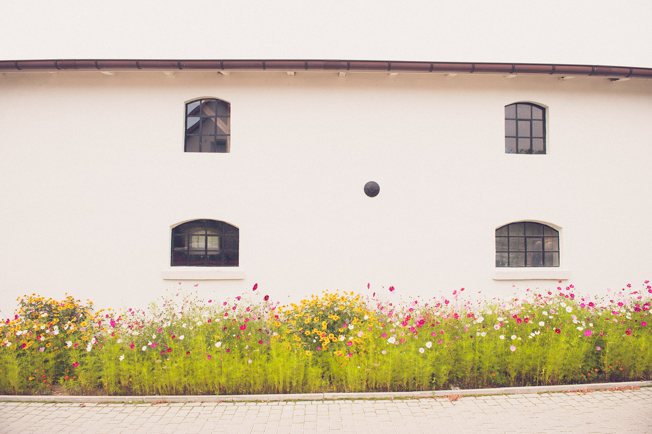 Miniatury_014